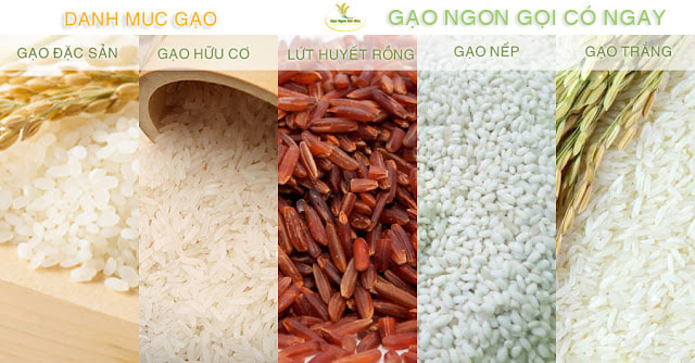 Hệ thống gạo ngon Gọi Có Ngay cung cấp sỉ toàn quốc các loại gạo nếp, gạo tẻ, gạo lứt, gạo đặc sản, gạo từ thiện